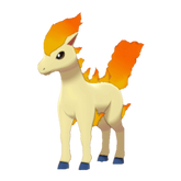 Buy Ponyta in Brilliant Diamond & Shining Pearl